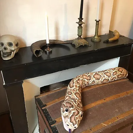 Apartamento L'ecole Des Sorciers