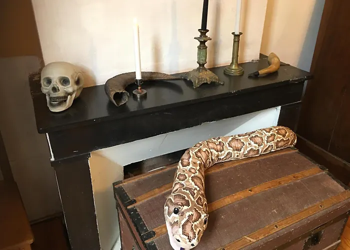 Lägenhet L'ecole Des Sorciers