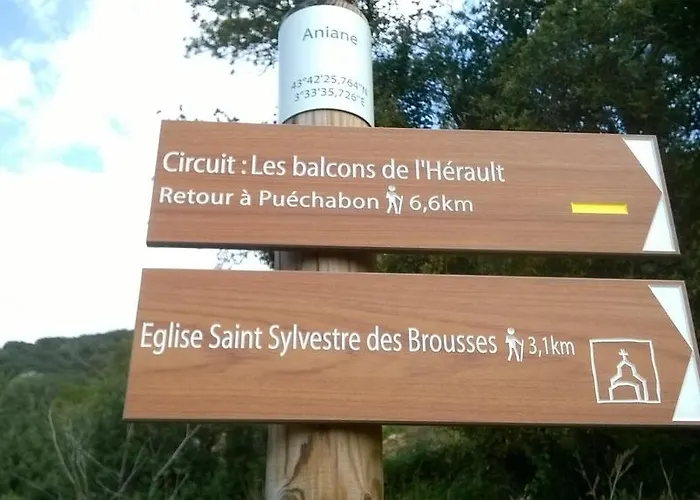 L'ecole Des Sorciers